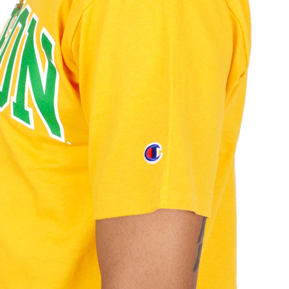 Arched Oregon, Champion, Yellow, Crew Neck, Cotton Blend, Men, T-Shirt, 942063